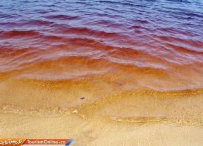 این دریاچه به جای آب، نوشابه دارد این دریاچه به جای آب، نوشابه دارد